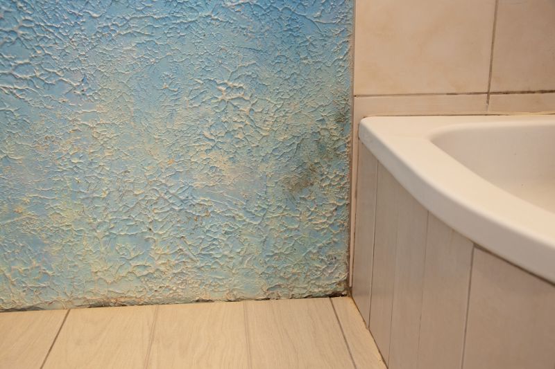 Bathroom Wall Coating
